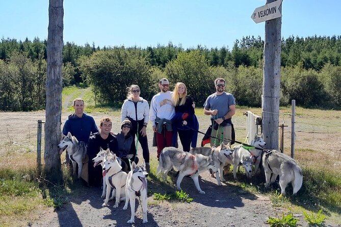 Hiking With Husky in Akureyri (Private) - Explore Private Woodland Areas