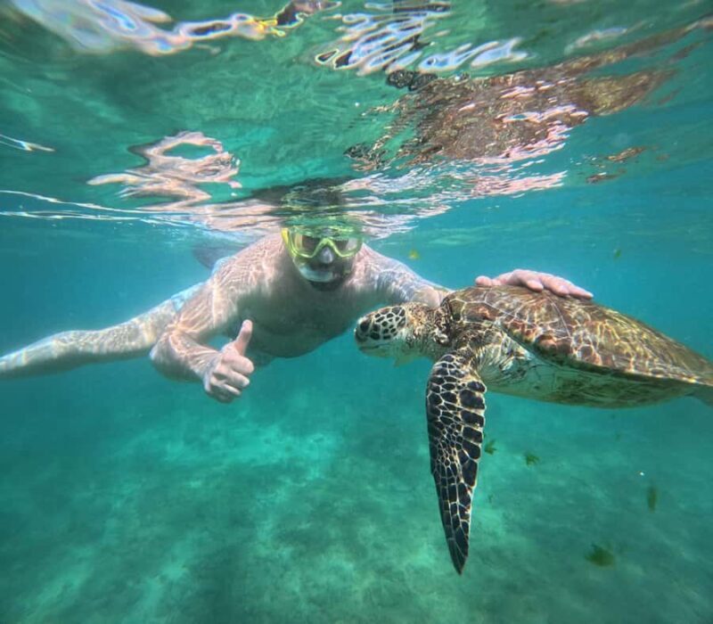 Hikkaduwa: Amazing Snorkeling with Coral, Fish & Turtles - Good To Know