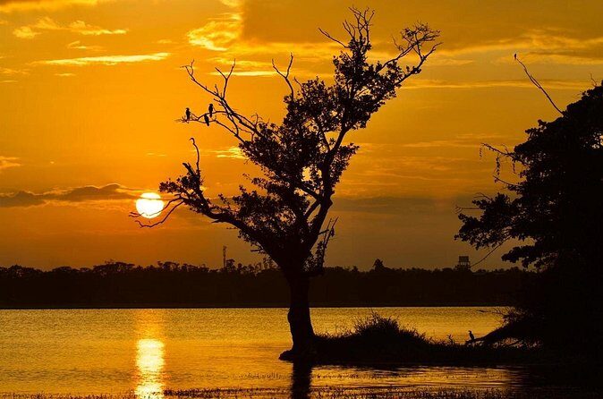 Hikkaduwa Day Excursion - FAQs