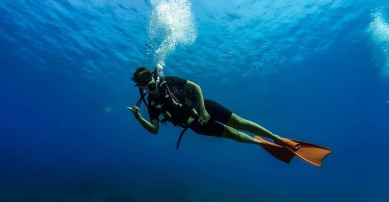 Hikkaduwa: Discover Scuba Diving Experience with Guide - Good To Know