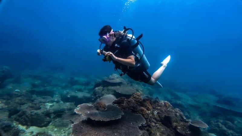 Hikkaduwa: Discover Scuba Diving Experience with Guide - The Itinerary: What You Can Expect
