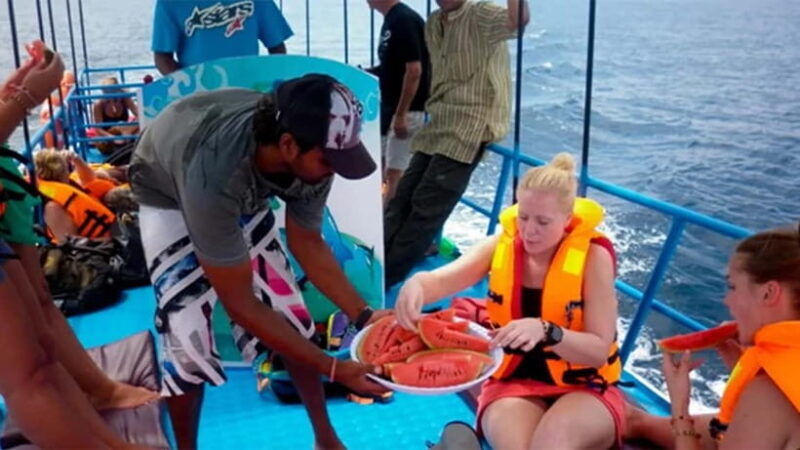 Hikkaduwa/Galle/Ahangama: Whale Watching Tour in Mirissa - What Sets This Tour Apart