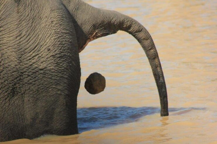 Hikkaduwa/ Galle - YALA Safari - Drop Off: Ella/ Bandarawela - Good To Know