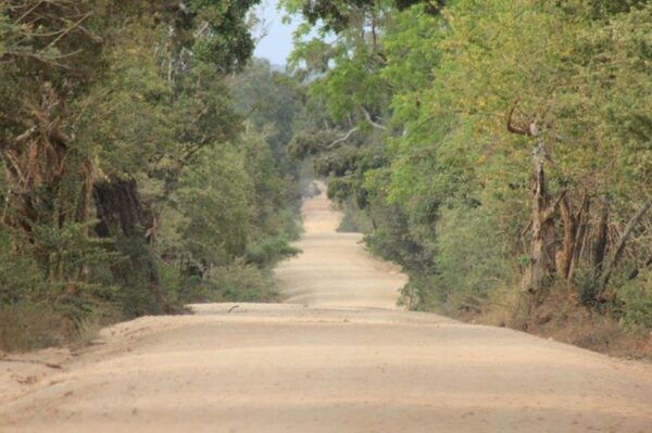 Hikkaduwa/ Galle - YALA Safari - Drop Off: Ella/ Bandarawela - Important Booking Information