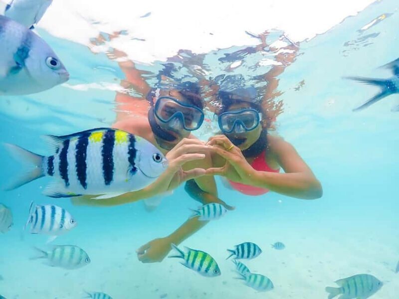 Hikkaduwa Snorkeling Tour: 2 Hours of Underwater Adventure - An In-Depth Look at the Hikkaduwa Snorkeling Tour