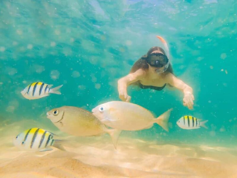 Hikkaduwa Snorkeling Tour: 2 Hours of Underwater Adventure - Final Words