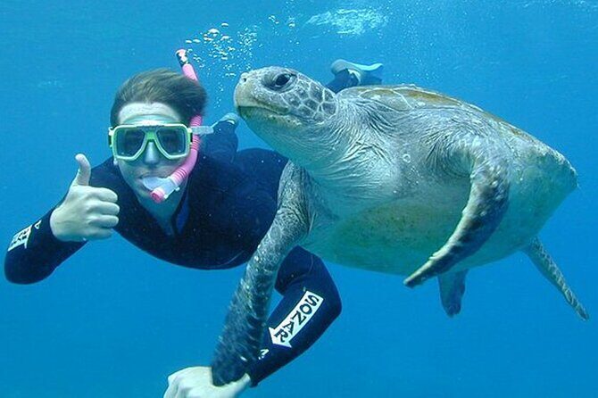 Hikkaduwa Unforgettable Snorkeling Experience - What to Expect from the Snorkeling Tour