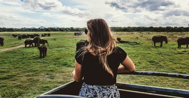 Hikkaduwa: Yala National Park Jeep Safari Private Day Tour - Experience Yala National Park