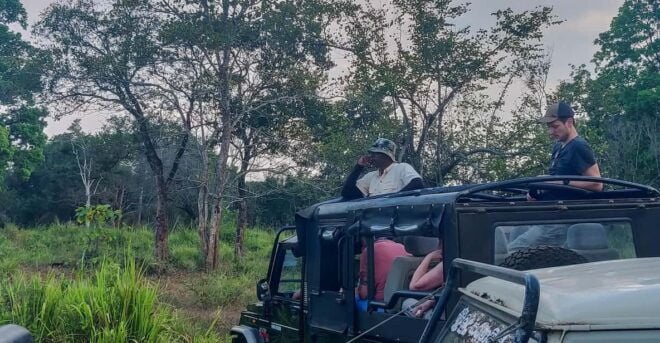 Hikkaduwa: Yala National Park Safari With Hotel Pickup - Exclusions to Consider