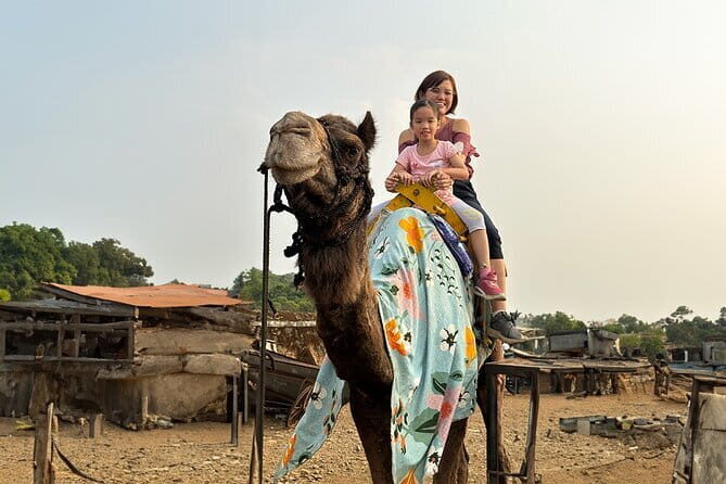 Hill-station & Heritage: Lonavala & Karla Caves Tour from Mumbai - Transportation and Logistics: What Makes the Experience Smooth