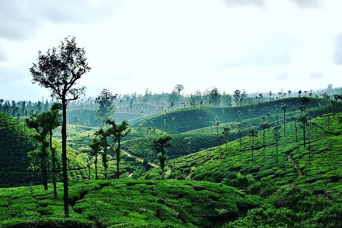 Hill Station Tour From Coimbatore to Valparai - Good To Know