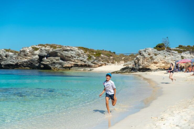 Hillarys Boat Harbour: Rottnest Island Ferry Transfer - Experience Highlights