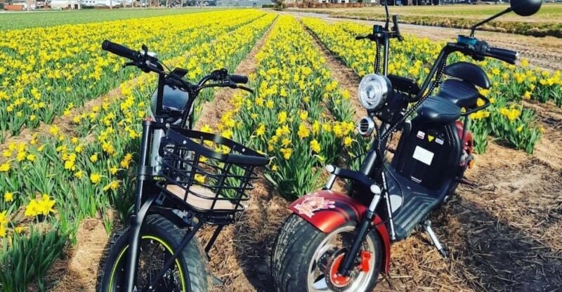 Hillegom: E-Scooter or E-Bike Rental in the Bulb Region - A Closer Look at the Experience