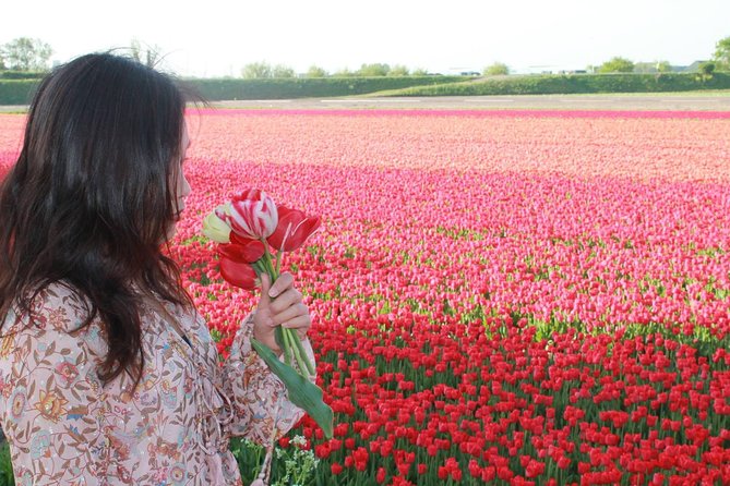 Hillegom Private Tulip Photo Shoot Tour  - Haarlem - Cancellation Policy for the Tour