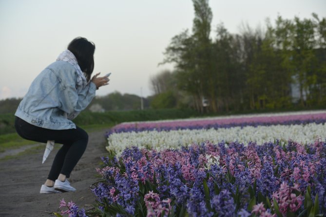 Hillegom Private Tulip Photo Shoot Tour  - Haarlem - Terms and Conditions for the Tour