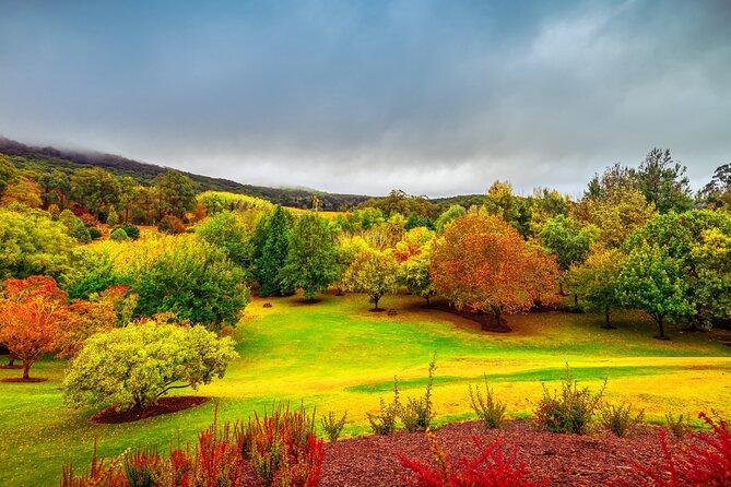 Hills to the Seaside: Full-Day Hahndorf & Victor Harbor Tour - Review Count and Overall Rating