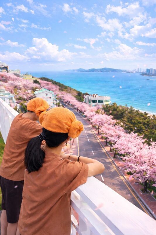 HillSpa Jjimjilbang Ticket in Busan Haeundae - What four hours buys you
