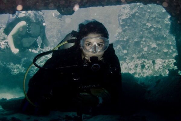 Hilo: 1-Tank Certified Beach Dive at Sea Turtle Cove - Departs From Hilo Ocean Adventures Shop
