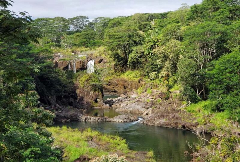 Hilo: Akaka Falls, Volcanoes, and Onomea Bay Guided Tour - What Makes This Tour Stand Out?