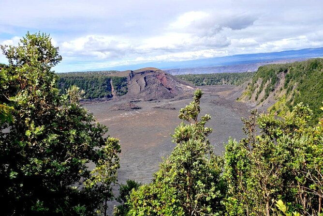 Hilo and Volcano National Park Tour a Cruise Ship Excursion w/PU - The Sum Up