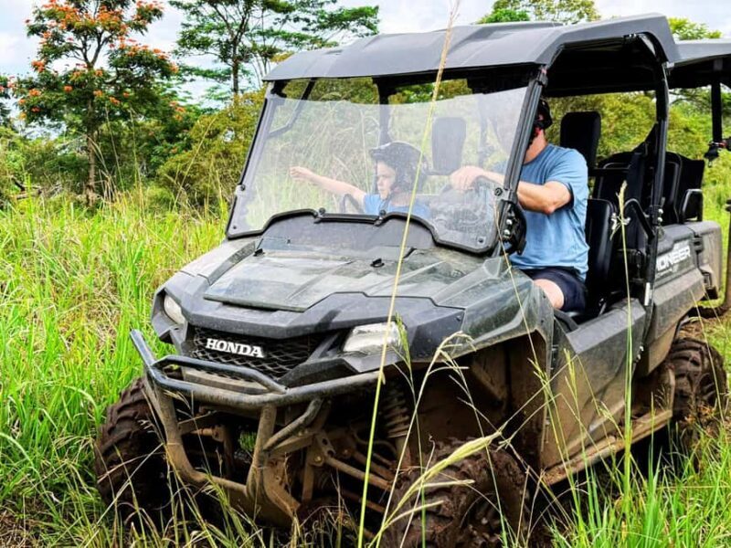 Hilo: Big Island Family Farm & Culture UTV Experience - What You Can Expect on This UTV Farm Tour