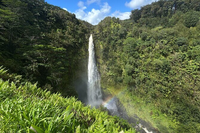 Hilo Excursion Volcanoes Akaka Falls And Black Sand Beach - Who Will Love This Tour?
