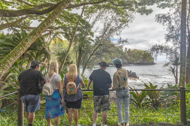 Hilo: Gardens, Waterfalls & Farmers Market Shore Excursion - Who Should Consider This Tour?