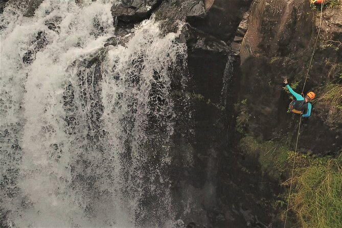 Hilo Kulaniapia Falls Day Pass  - Big Island of Hawaii - Traveler Reviews and Ratings