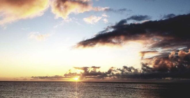 Hilo: Night Dive for Certified Divers - Full Description of the Activity