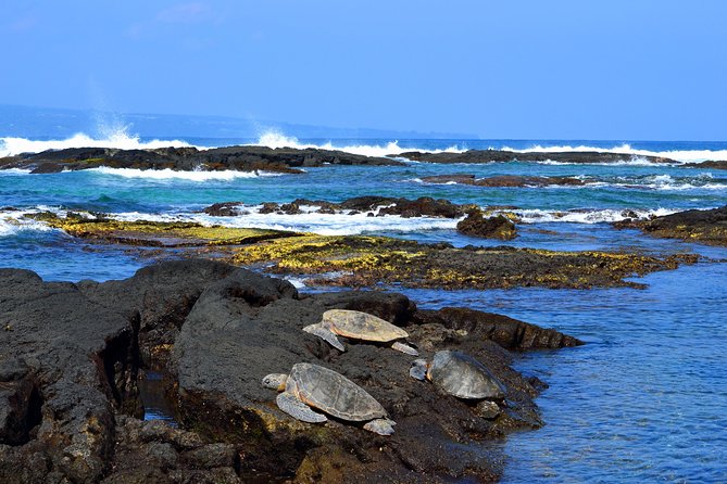 Hilo Shore Excursion: Volcanoes National Park, Rainbow Falls and Highlights - Overview and Itinerary