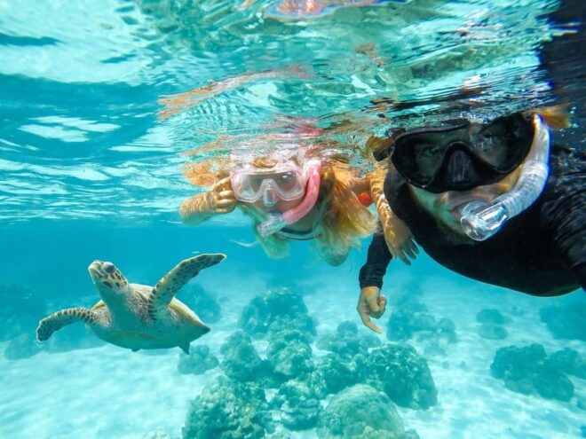 Hilo: Snorkeling With Turtles and Free Videos - Inclusions and Equipment