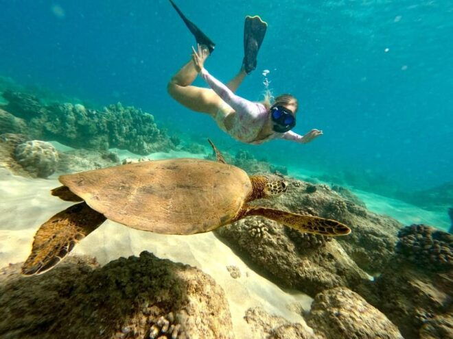 Hilo: Snorkeling With Turtles and Free Videos - Safety Precautions