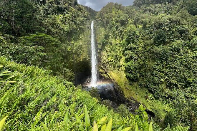 Hilo Waterfall Hike and Swim with Native Hawaiian - Why This Tour Works Well