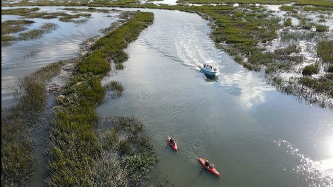 Hilton Head: Calibogue Sound Private Dolphin Boat Charter - Full Description