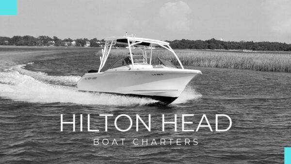 Hilton Head: Calibogue Sound Private Dolphin Boat Charter - The Sum Up