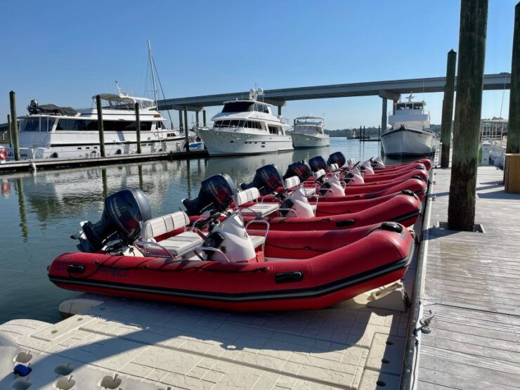 Hilton Head: Guided Disappearing Island Tour by Mini Boat - Experience the Adrenaline Rush