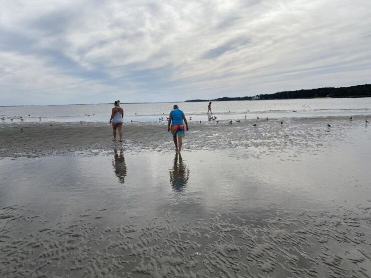 Hilton Head: Guided Disappearing Island Tour by Mini Boat - Explore Hilton Head Island With a Guide