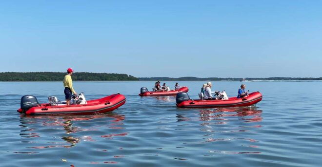 Hilton Head: Guided Disappearing Island Tour by Mini Boat - Drive Your Own Mini Boat