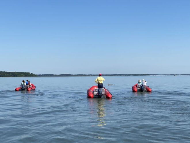 Hilton Head: Guided Disappearing Island Tour by Mini Boat - Important Information and Customer Reviews