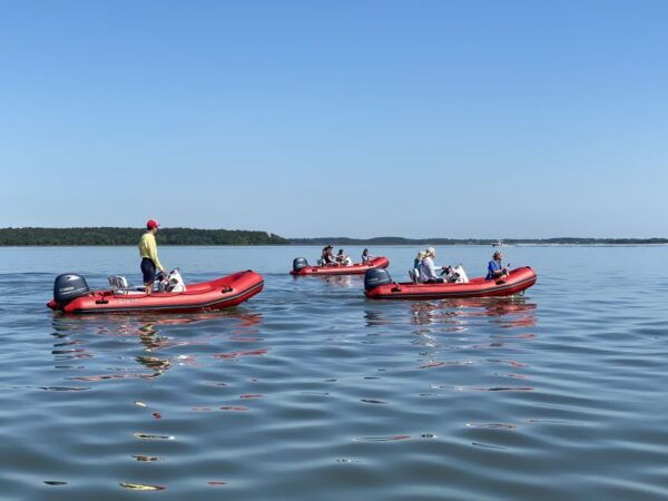 Hilton Head: Guided Disappearing Island Tour by Mini Boat - The Sum Up