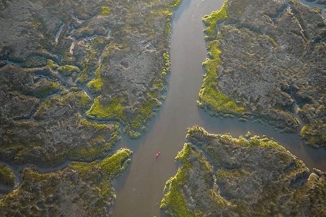 Hilton Head Guided Kayak Tour - Common Questions