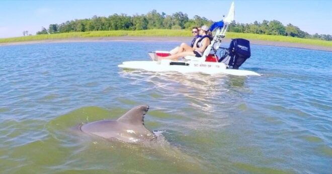Hilton Head Island: 2-Hour Guided Creek Cat Tour - Highlights of the Tour