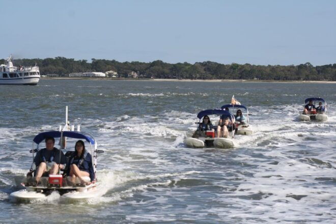 Hilton Head Island: 2-Hour Guided Creek Cat Tour - Spot Atlantic Bottlenose Dolphins