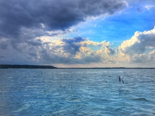 Hilton Head Island: 2-Hour Guided Creek Cat Tour - Common Questions