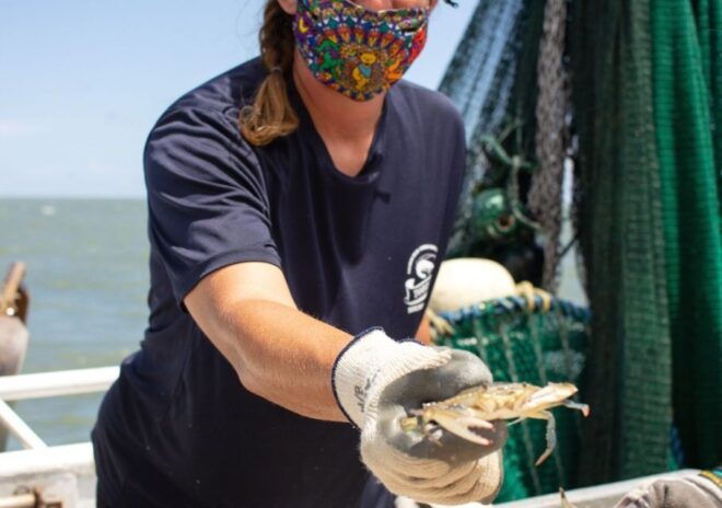 Hilton Head Island: Crabbing Expedition Boat Tour - Experience Highlights