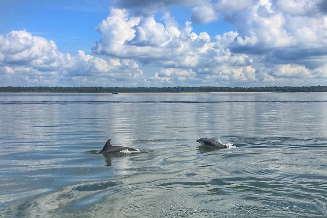 Hilton Head Island Daytime Creek Cat Tour - Cancellation Policy