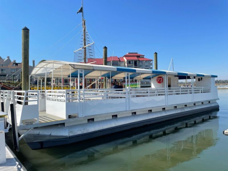 Hilton Head Island: Daytime Dolphin Watching Boat Tour - The Sum Up: Who Is This Tour Best For?