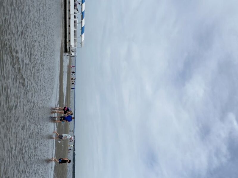 Hilton Head Island: Disappearing Island and Dolphin Tour - What to Expect from the Tour