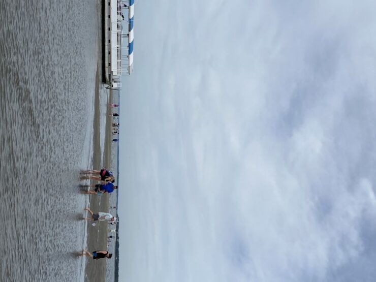 Hilton Head Island: Disappearing Island Dolphin Tour - Tour Duration & Cancellation Policy