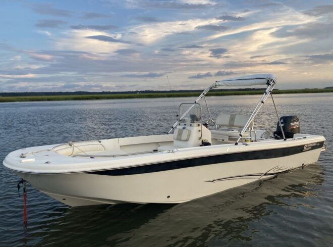 Hilton Head Island: Dolphin and Nature Tour - Customer Reviews